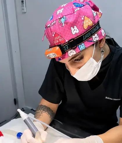 Dentista Veterinária Mariana Neves realizando procedimento odontológico em pet
